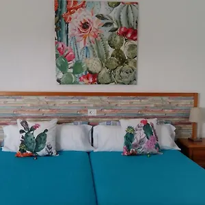 https://estudio-la-calzada.hotelsfuerteventura.org